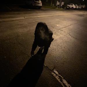 B03 (feat. Frontlinemani)