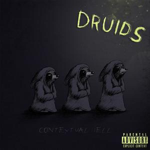 Druids