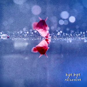 Bye Bye Nicotine