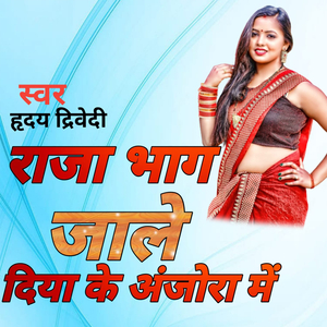 राजा भाग जाले दिया के अंजोरा में