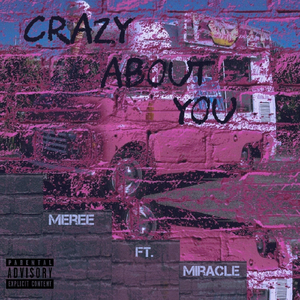 Crazy About You (Remix)