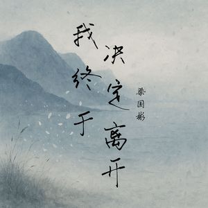 我终于决定离开