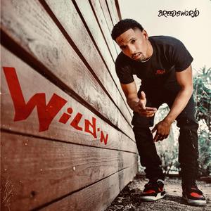 Wild'n