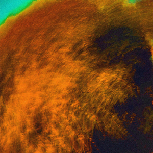 Let's Have Some Life