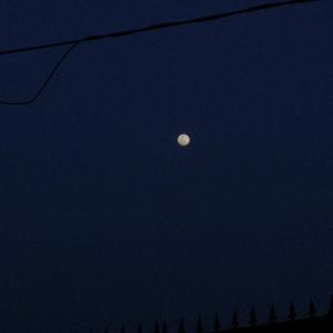 你呢？（翻自 沙一汀EL）