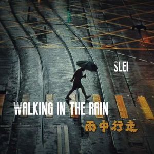 雨中行走（walking in the rain ）