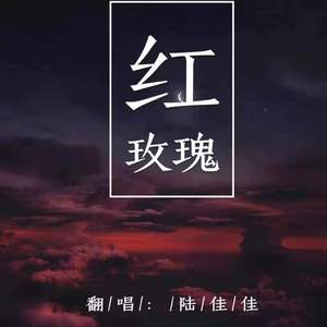 红玫瑰