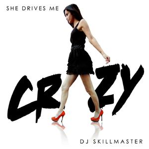 She Drives Me Crazy (Topmodelz Club Remix)