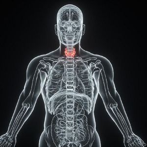 甲亢病患（Prod.DIVINE MUSIC）