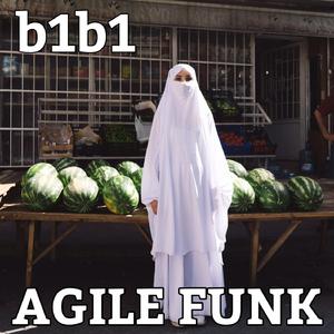 Agile funk