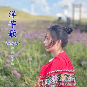 洋芋歌（枇杷调）