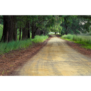 未来へ（ピアノカバー）