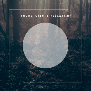 Stars Shining Bright