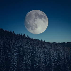 Noche Tranquila Con Silencio Suave