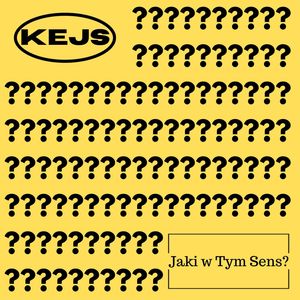 Jaki w Tym Sens?
