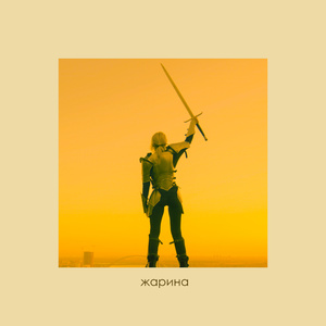 Жарина
