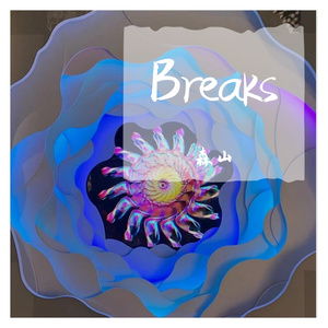 Breaks