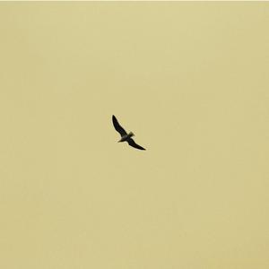 Fly high (k-pop) (feat. 청담동 도깨비)