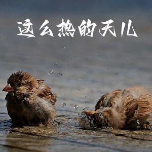 这么热的天儿（DJ版）