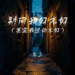 别问我好不好(其实我过的不好)