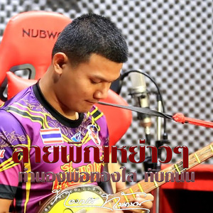 ลายพิณหย่าวๆ : ทำนองพ่อทองใส ทับถนน