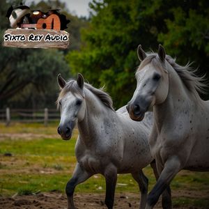 Romance en Paso Caicara