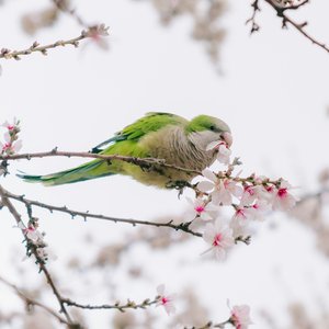 雪凝，我的余生