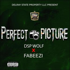 Perfect Picture (feat. Fabeezi)