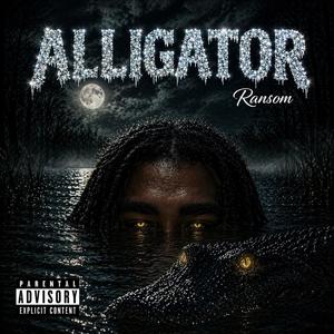 Alligator
