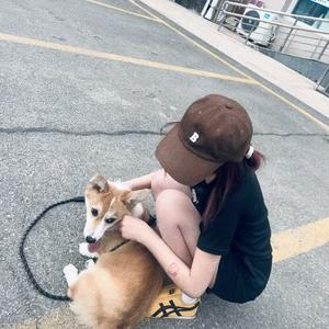 太聪明(DJ热播版)