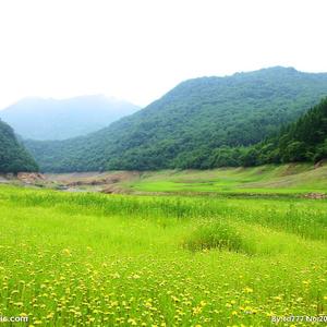 凤栖梧 送春