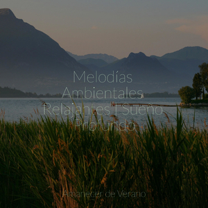 Anticipación Silenciosa