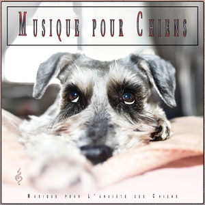 Musique Calmante Pour Chiens