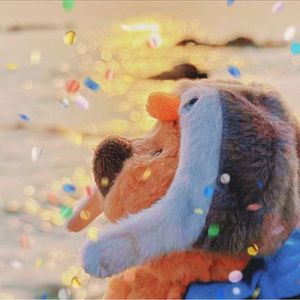 希望你被这个世界爱着