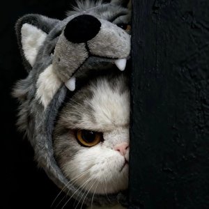 在日落公路把青春唱旧