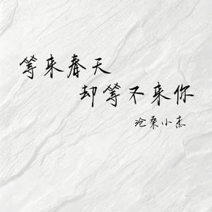 等来春天却等不来你