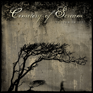 Night in White Satin