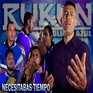 NECESITABAS TIEMPO