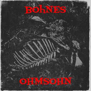 Bohnes