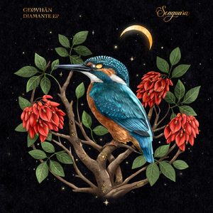 Diamante (Extended Mix)