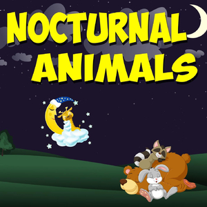 Nocturnal Animals