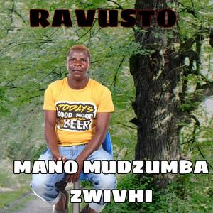 MANO MUDZUMBA ZWIVHI (feat. PROEF)