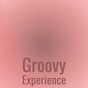 Groovy Experience