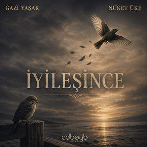 Iyileşince