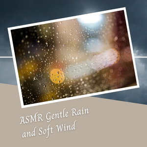 ASMR Gentle Rain and Soft Wind - 2 Hours