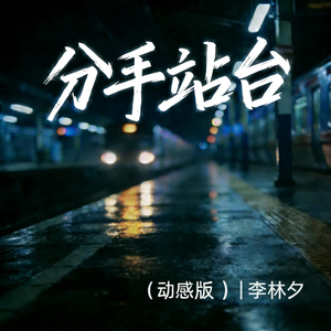 分手站台 (动感版)