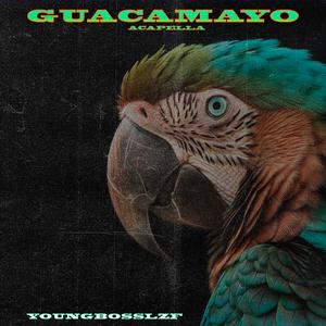 Guacamayo (Acapella)
