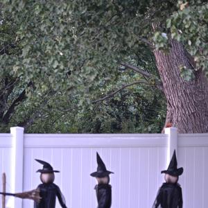 Witch Parade (feat. Sixth)