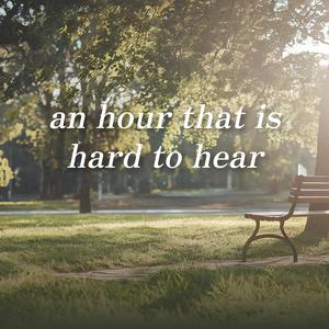 Where My Heart Goes First