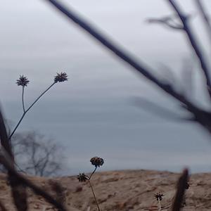 trotventurs1 walking whers